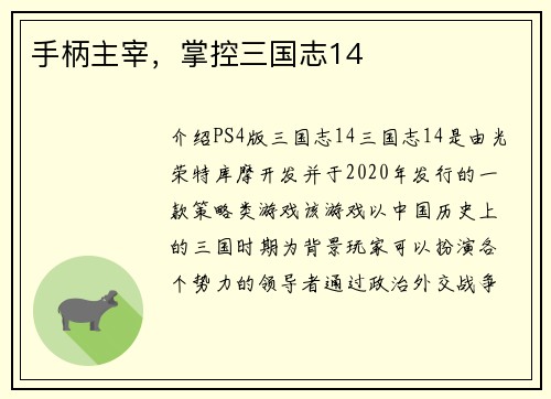 手柄主宰，掌控三国志14